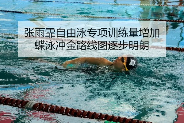 张雨霏自由泳专项训练量增加 蝶泳冲金路线图逐步明朗